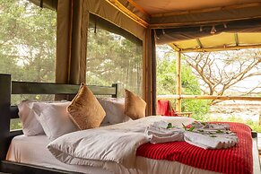 Aruba Mara Camp