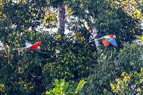 Tambopata Edosikiana Ecolodge