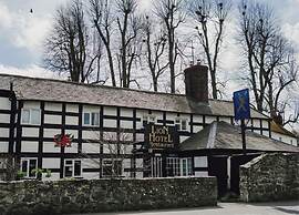 The lion hotel