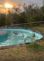 Wellness Petfrendly El Secreto
