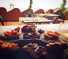 Wellness Petfrendly El Secreto