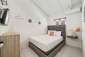 Safir 48