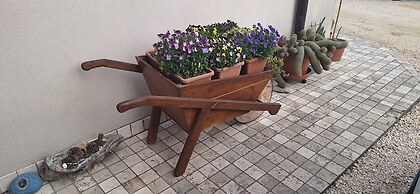 B&B Mirò