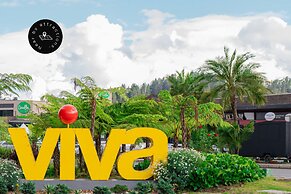 Olive Country Living - 117
