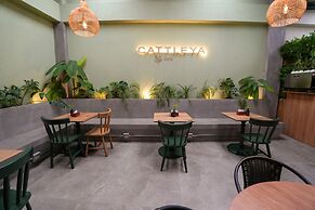 Housy Laureles - 702