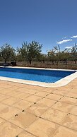 Oasis view
