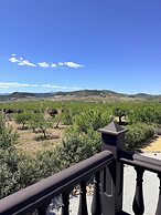 Oasis view