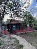 Argos Çıralı