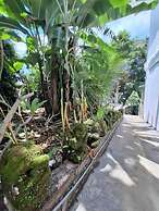 Palm House Ubud
