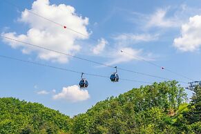 Chuncheon Rabbit Star Pension