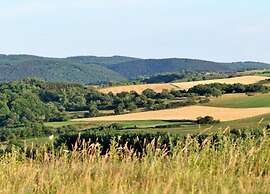 Bungalow in Eifel Near Forest and Mountains