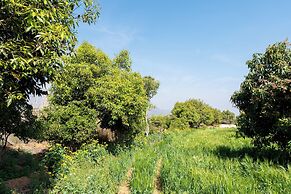 Krishna Serenity Petfriendly 7BHK Farm