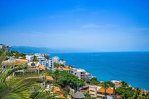 Dog-friendly Ocean View Penthouse & Studio With a Full Kitchen & Kitch