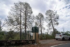 ELIVAAS Blushing Pines Stunning 3 BHK