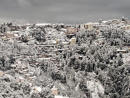 Hotel Amar Palace Shimla Mountain View