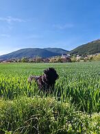 Hotel Acebo & Natura