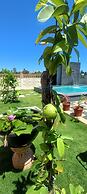 KAY'S EDEN