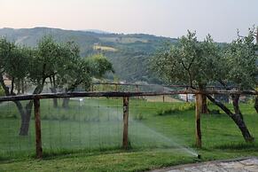Castel D Arno Guest House Assisi Perugia