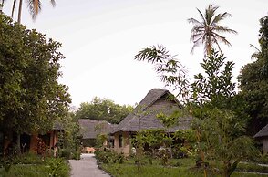 Afro Beach Safari