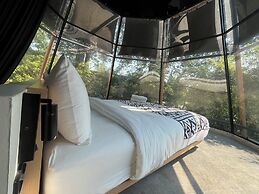 Boho Story