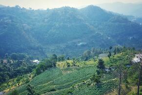 Green Velley View