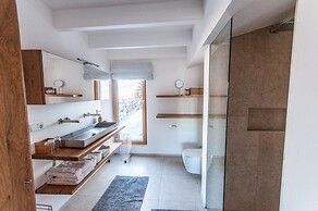 Chalet Max Panorama in Zell am See