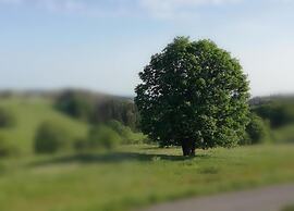 Family Comfort in Guntersberge
