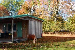 Ferienhaus mit Kamin am Achterwasser in Lutow
