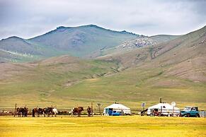 Mongolian Vision Tours