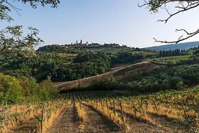 Mimosa in San Gimignano