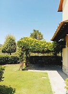 Mimosa in San Gimignano