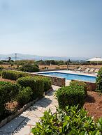 Seaside Paros Ambelas Villa 1