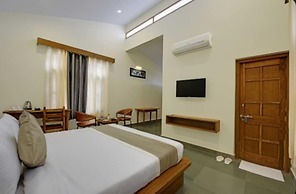 OPO Palm Villa Dritan