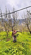 Dolma homestay by Orko