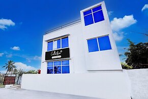 Deluxevisha International