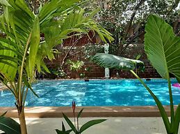 Anexx Goa