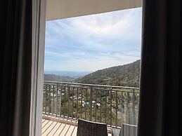 EL PINO