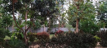 Green Island Nature Stay