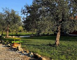 Feudo Mallav b&b Noto