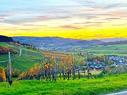 Gemutliche Wohnung in Konz an der Mosel