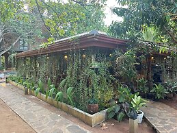 Ceylon resort wilpattu