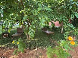 Ceylon resort wilpattu