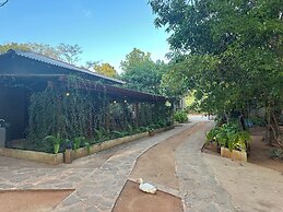 Ceylon resort wilpattu