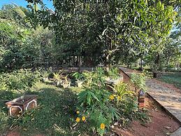 Ceylon resort wilpattu