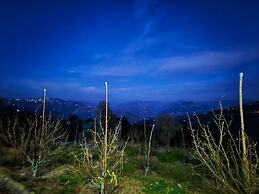 Lucky Homestay