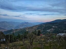 Lucky Homestay