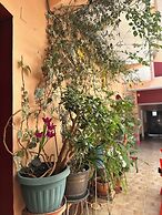Le Casita Grau