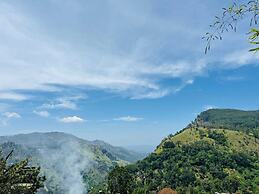Nest of peak