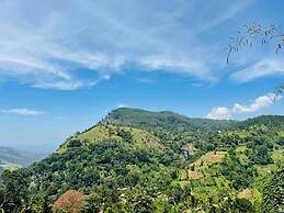 Nest of peak