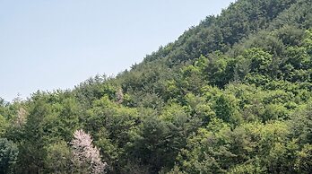 Sara&forest Pension Mungyeong